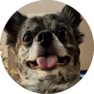 Yukiko Avatar
